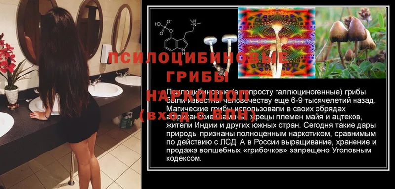 Галлюциногенные грибы GOLDEN TEACHER  Беломорск 